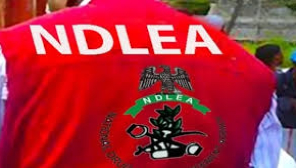 NDLEA intercepts N10.4bn Canadian loud at Lagos port